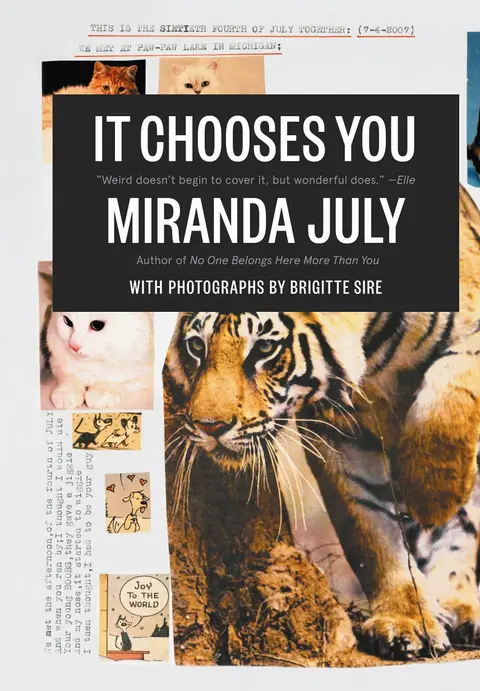 Cover of It Chooses You