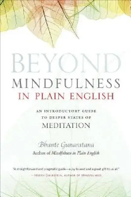 Cover of Beyond Mindfulness in Plain English