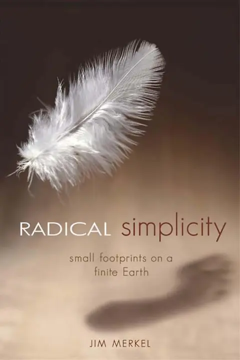 Cover of Radical Simplicity