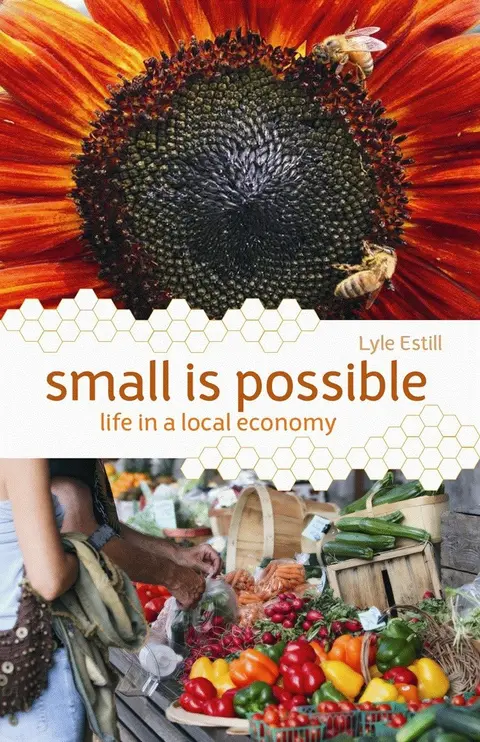 Cover of Small is Possible