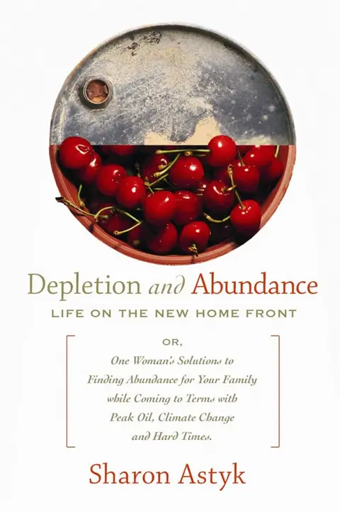 Cover of Depletion & Abundance