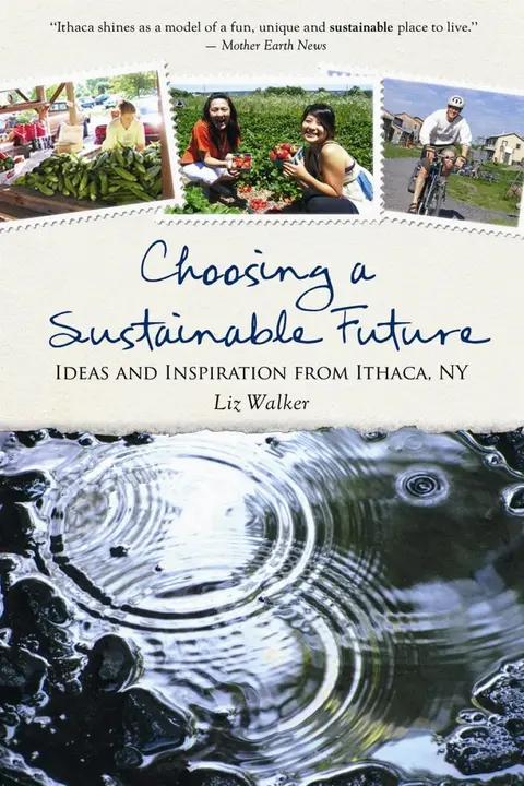 Cover of Choosing a Sustainable Future
