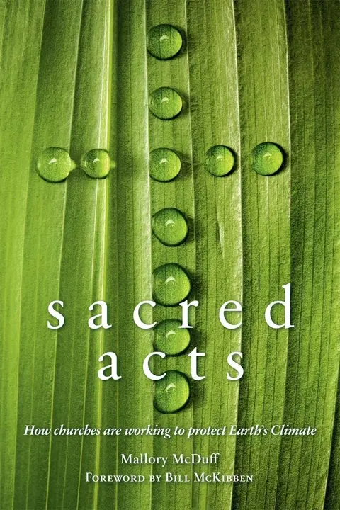 Cover of Sacred Acts