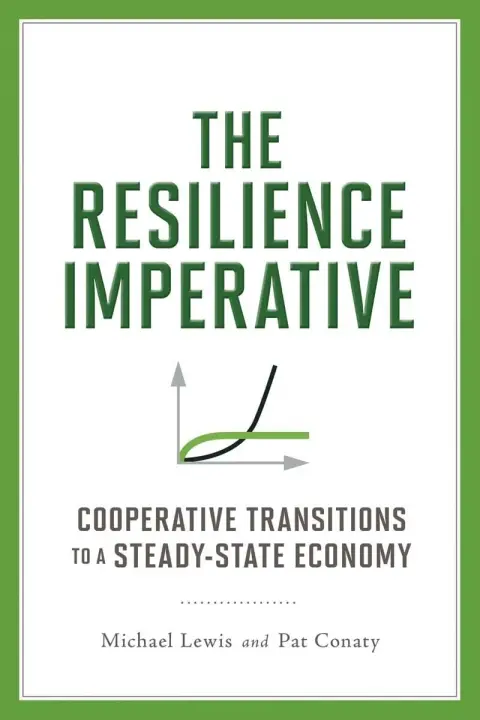 Cover of The Resilience Imperative
