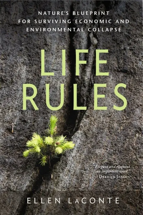Cover of Life Rules