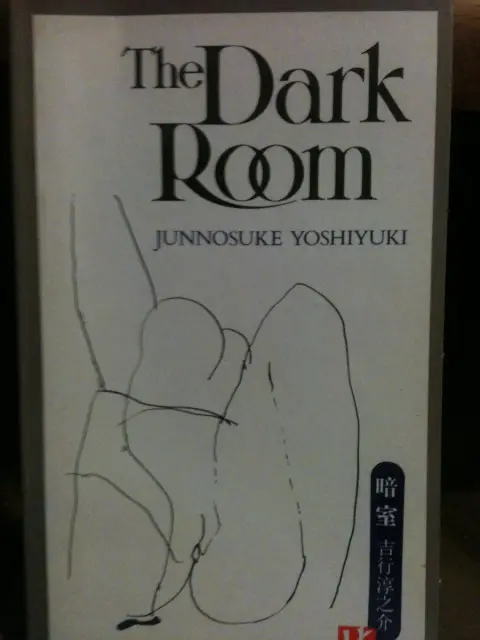 Cover of The Dark Room
