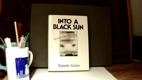 Cover of Into a Black Sun