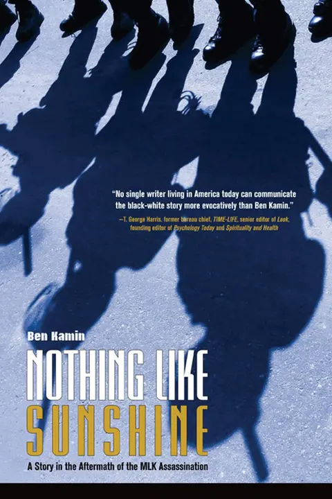 Cover of Nothing Like Sunshine