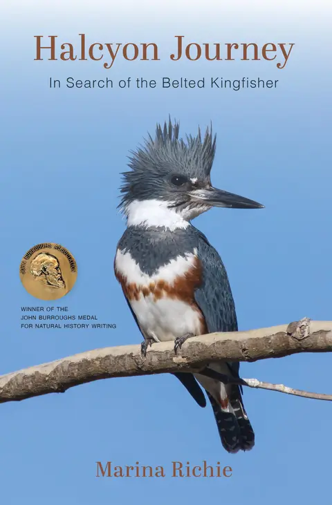 Cover of Halcyon Journey