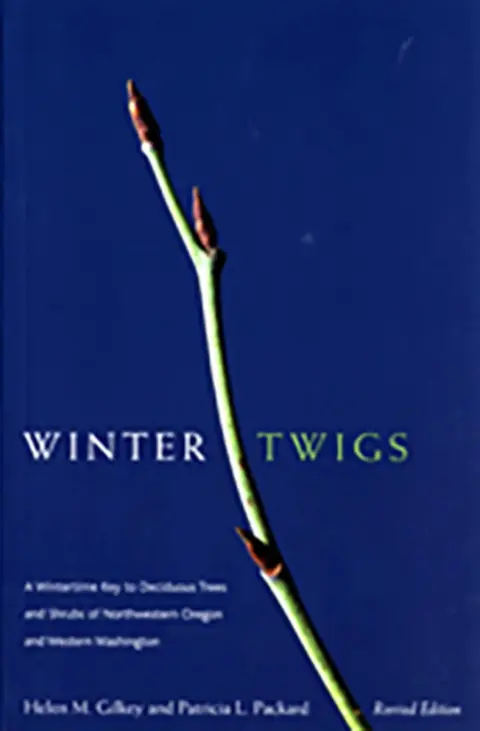 Cover of Winter Twigs