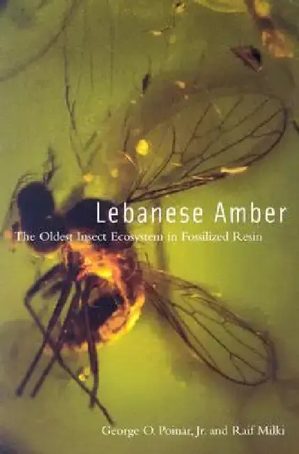 Cover of Lebanese Amber