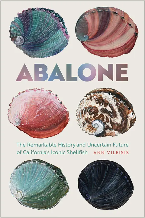 Cover of Abalone