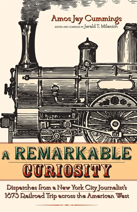 Cover of A Remarkable Curiosity