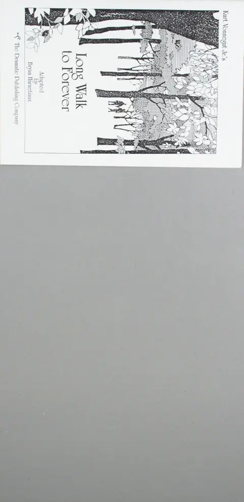 Cover of Long Walk to Forever