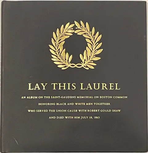 Cover of Lay This Laurel