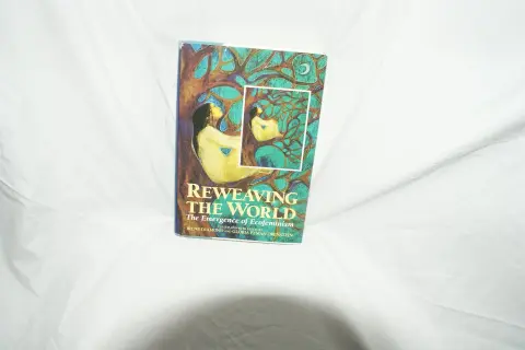 Cover of Sch-Reweaving World