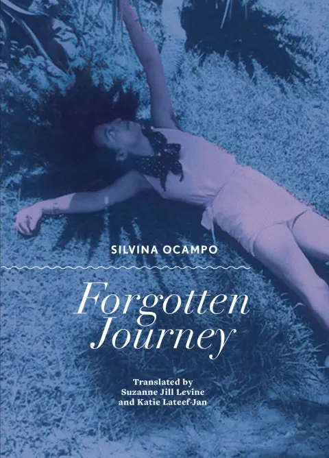 Cover of Forgotten Journey