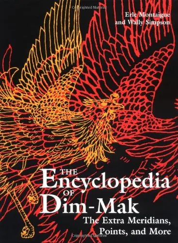 Cover of The Extra Meridians, Points and More