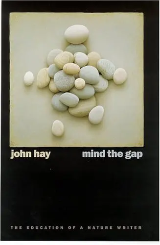 Cover of Mind the Gap