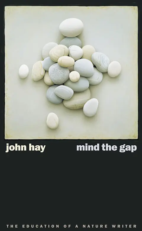 Cover of Mind the Gap