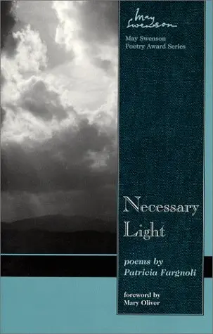 Cover of Necessary Light