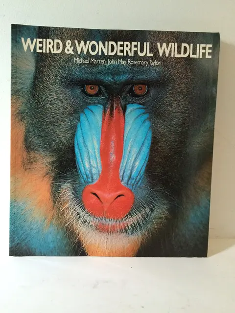Cover of Weird and Wonderful Wildlife