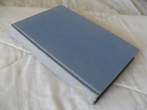 Cover of Holographic Paradigm