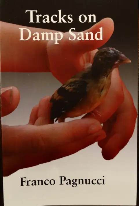 Cover of Tracks on Damp Sand