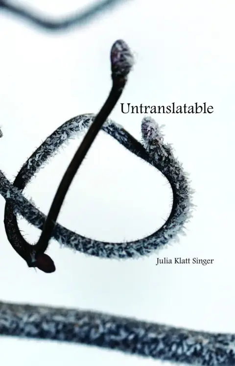 Cover of Untranslatable