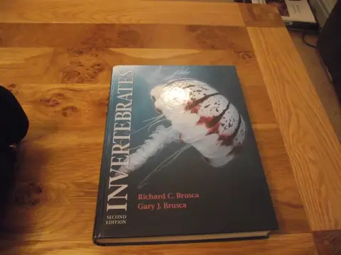 Cover of Invertebrates