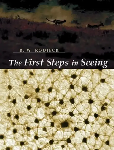Cover of The First Steps in Seeing