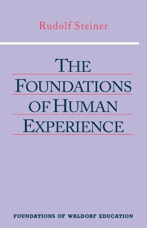 Cover of The Foundations of Human Experience