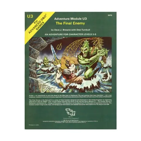 Cover of The Final Enemy