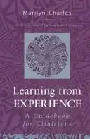 Cover of Learning from Experience