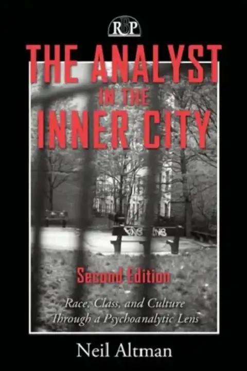 Cover of The Analyst in the Inner City