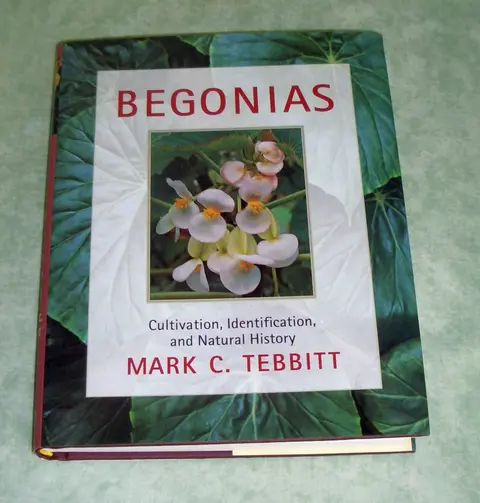 Cover of Begonias