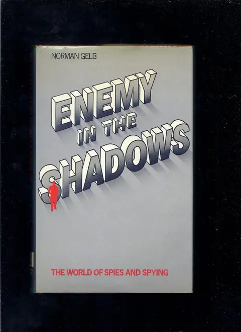 Cover of Enemy in the shadows