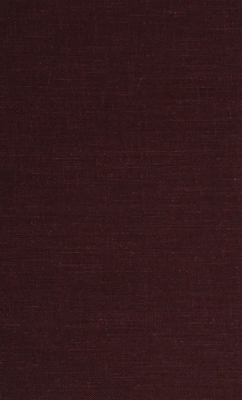 Cover of She Stands Accused