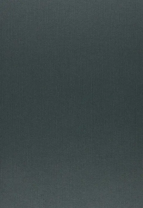 Cover of Dumbarton Oaks Papers V55