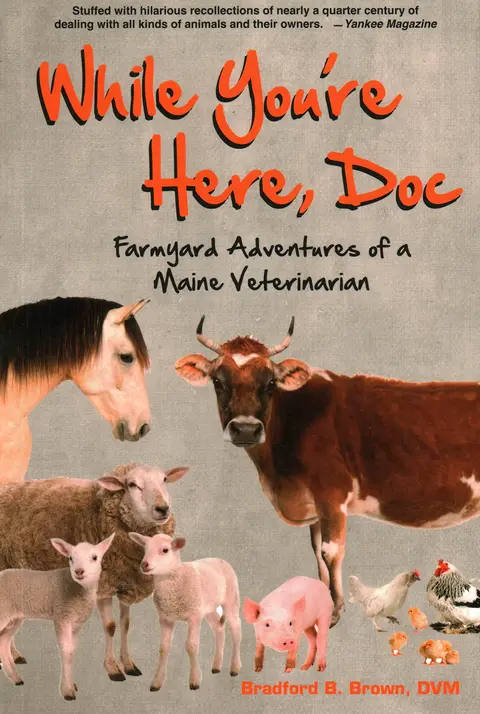 Cover of While You're Here Doc