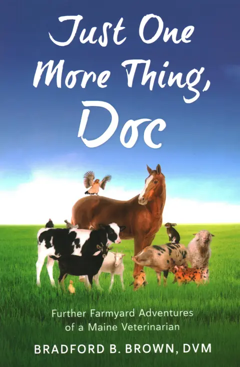 Cover of Just One More Thing, Doc