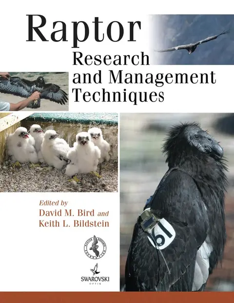 Cover of Raptor