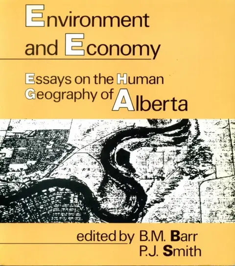 Cover of Environment and Economy