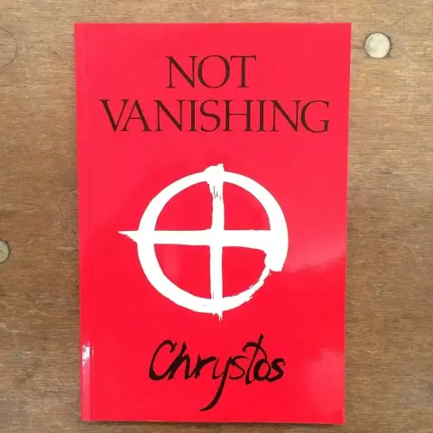 Cover of Not Vanishing