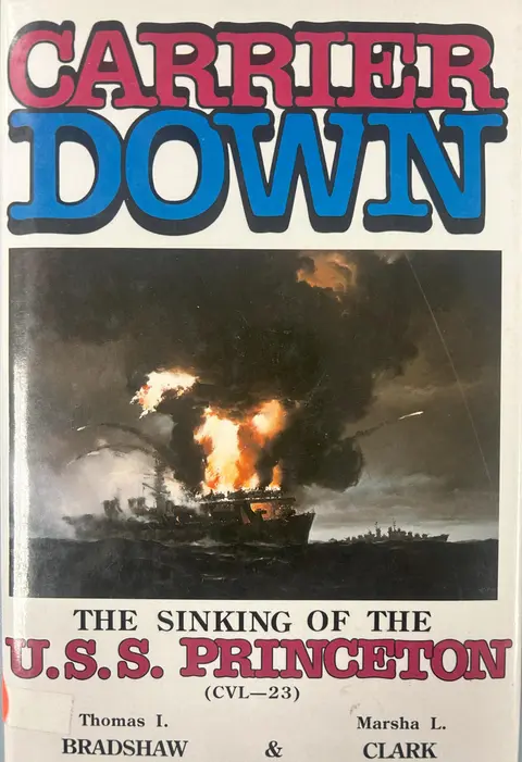 Cover of Carrier Down
