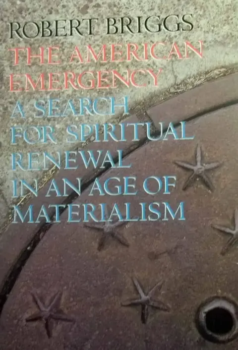 Cover of The American Emergency