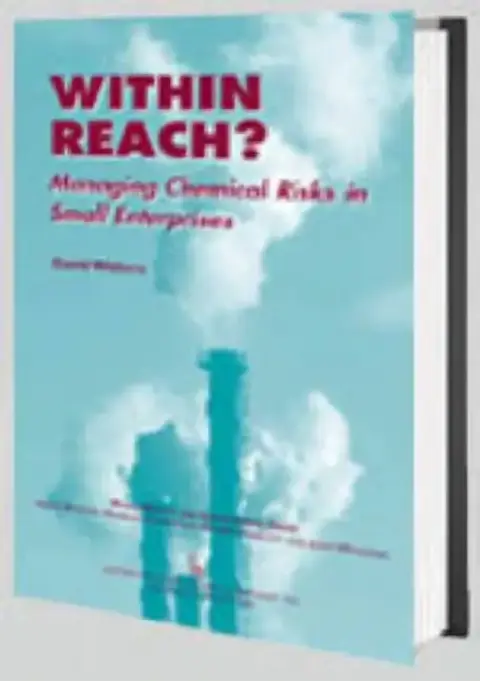 Cover of Within Reach?
