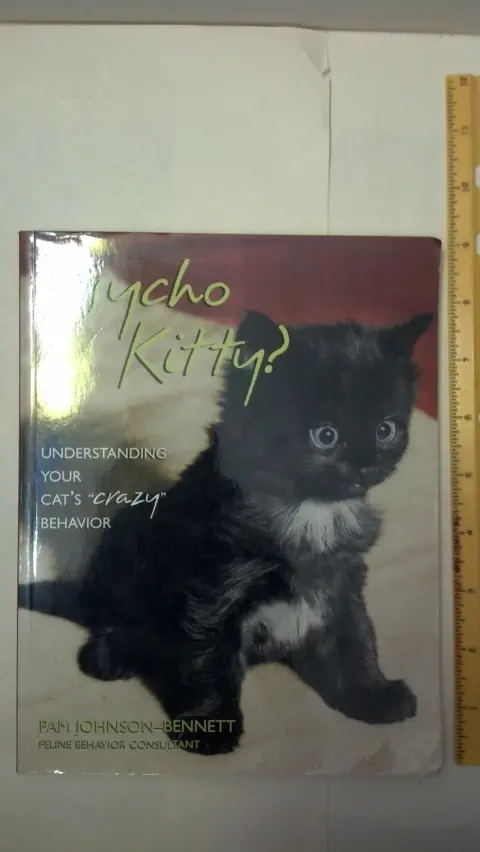 Cover of Psycho Kitty?