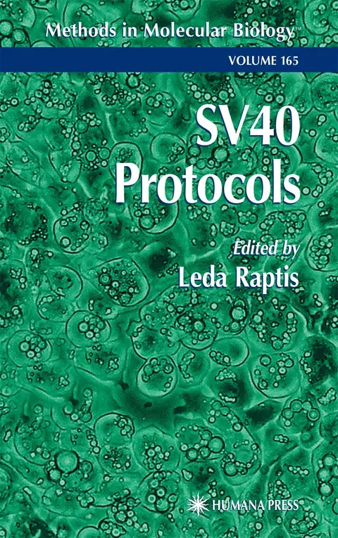 Cover of SV40 Protocols