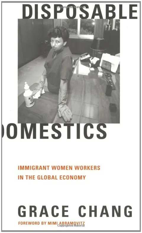 Cover of Disposable Domestics